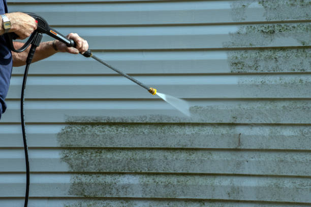 Best Window and Screen Pressure Cleaning in Queen Anne, MD